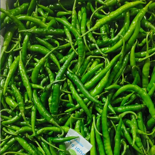 Green Chilli