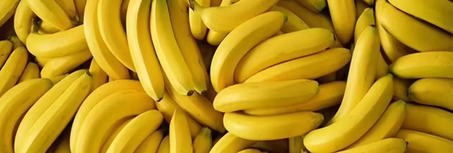 Reliable Cold Storage